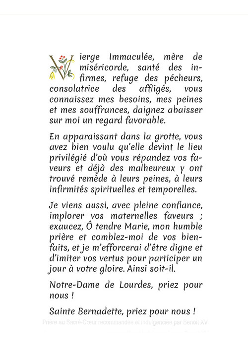 Image souple ND de Lourdes