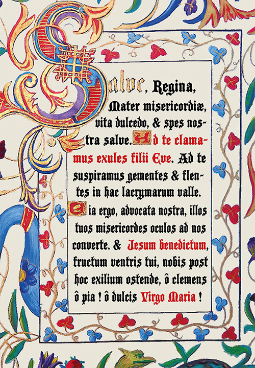 Image souple Salve Regina
